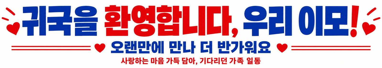 귀국·방문 환영 현수막 흰 바탕 두 색 · 긴 가로형 디자인 예시 (흰 바탕 두 색 스타일) — "귀국을 환영합니다, 우리 이모"
